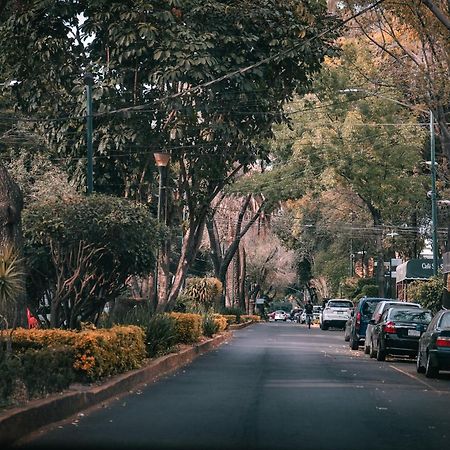 Modern Studio, Rooftop Charm, Cdmx Center2 メキシコシティ エクステリア 写真