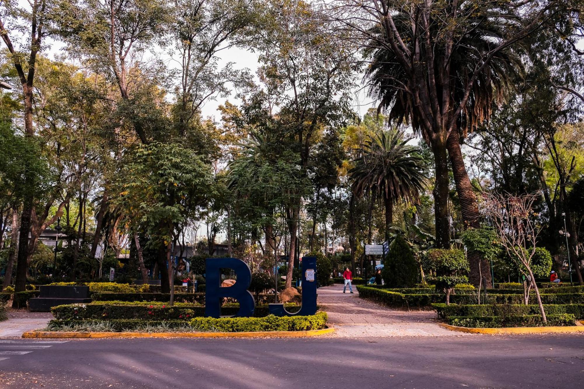 Modern Studio, Rooftop Charm, Cdmx Center2 メキシコシティ エクステリア 写真