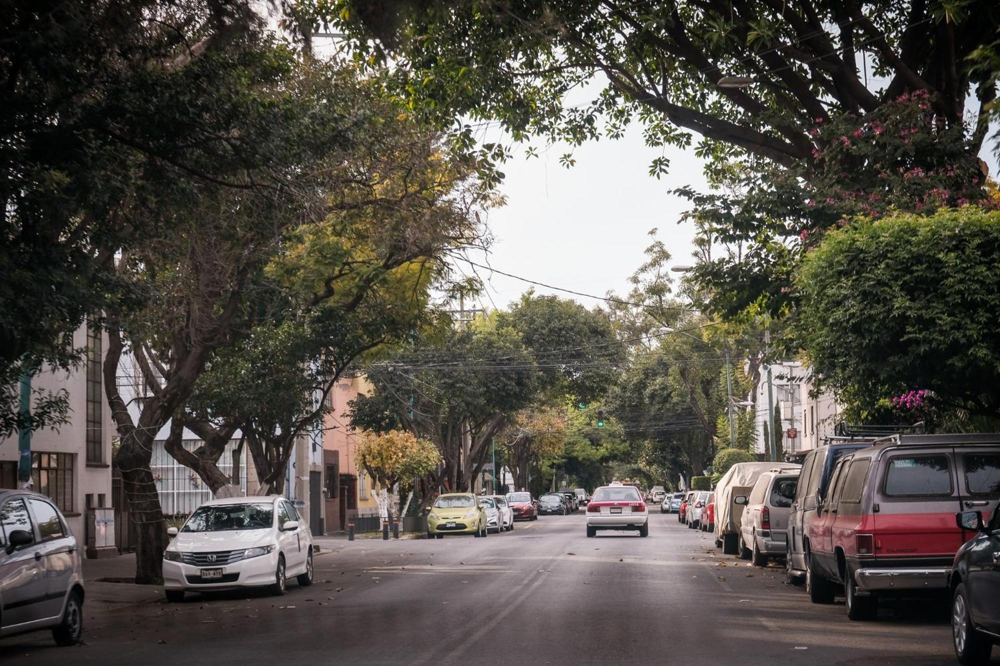 Modern Studio, Rooftop Charm, Cdmx Center2 メキシコシティ エクステリア 写真